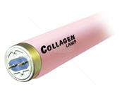 Collagen Plus 100W